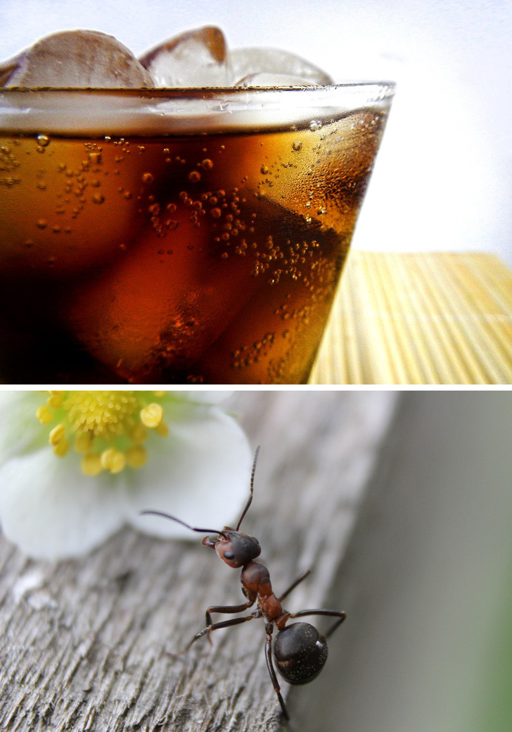 los-10-usos-extraordinarios-de-la-coca-cola-que-muchos-pasamos-por-alto-002