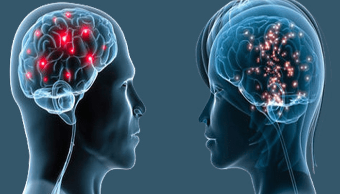 los-7-hechos-cientificamente-comprobados-sobre-el-cerebro-femenino-y-masculino-y-ciertos-estereotipos-que-ya-es-hora-de-olvidar-005